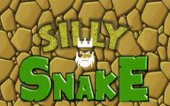 Sillysnake.io