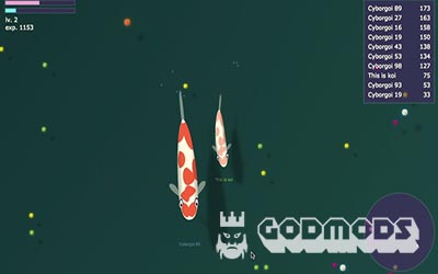 Koichan.io Gameplay