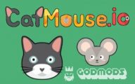 Catmouse.io