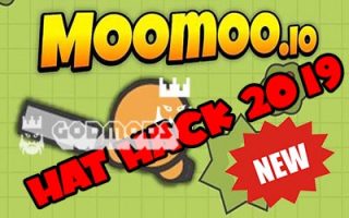 Moomoo.io Hat Hack 2019