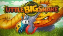 LittleBigSnake.io